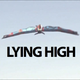 Illustration for article titled CGI Experts Say Flying Bird Man Is Fake (Update 2)